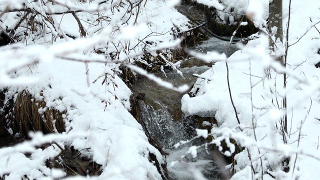 山河在白雪皑皑的森林中流淌视频素材