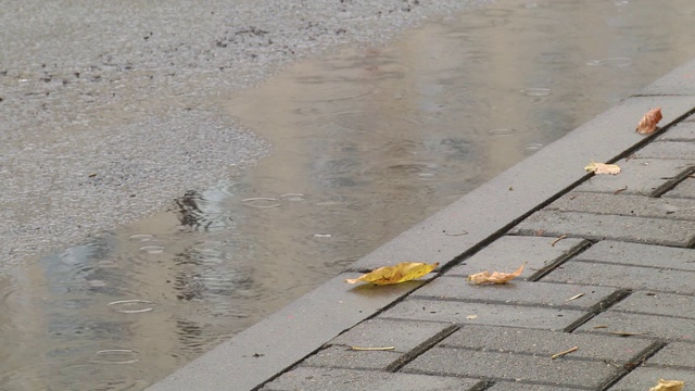 雨水在柏油路或柏油路上形成涟漪，在秋天形成强烈的对比。秋天的背景与潮湿的落叶。阴沉沉的秋日。视频素材