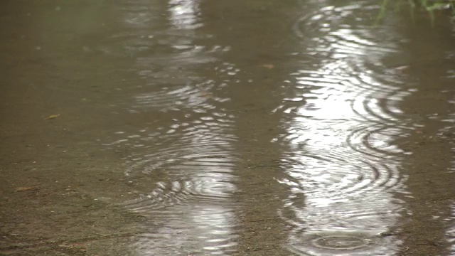 雨滴在水坑里荡漾。城市里的雨水——鹅卵石路面上的水坑——雨点视频素材