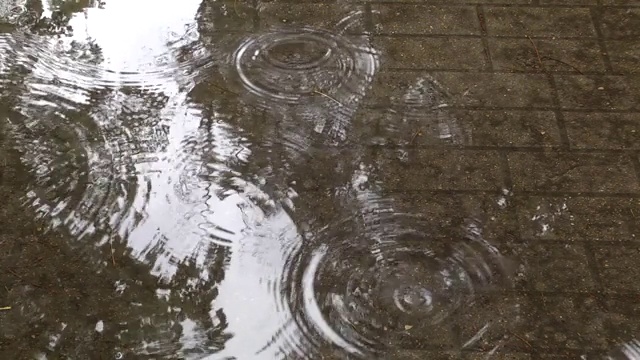 下雨了。雨滴落在水坑里。秋天的公园。视频素材