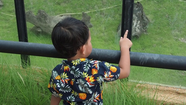 一个小男孩望着草地。视频素材