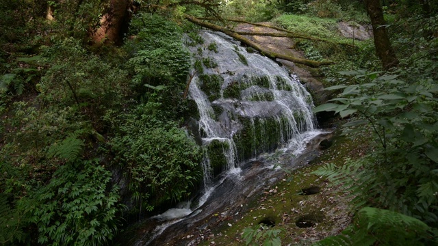 瀑布在森林深处的中央，在基奥梅潘，Doi Inthanon，泰国清迈视频素材