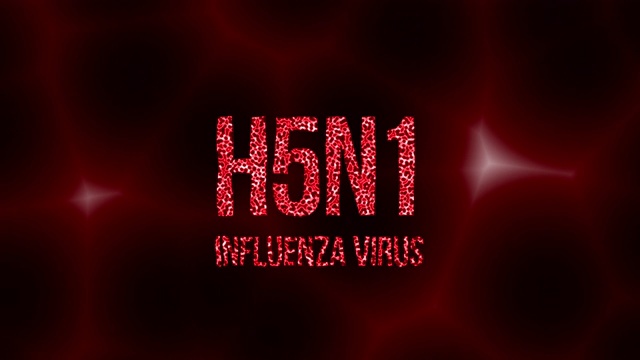 H5N1病毒感染血液细胞的文本视频素材