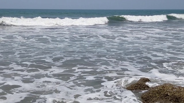 海上日出。棕榈叶的剪影在蓝天上摇曳视频素材