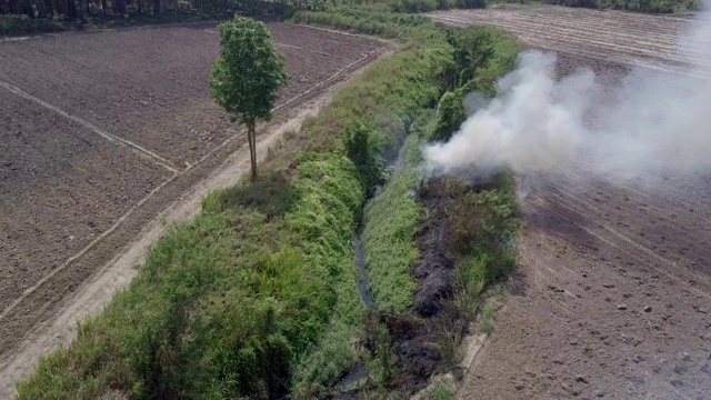 空中射击。燃烧秸秆和甘蔗为农业做准备。视频素材