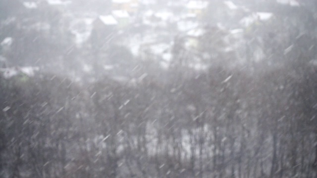 在冬天拍摄飘落的雪花。视频素材