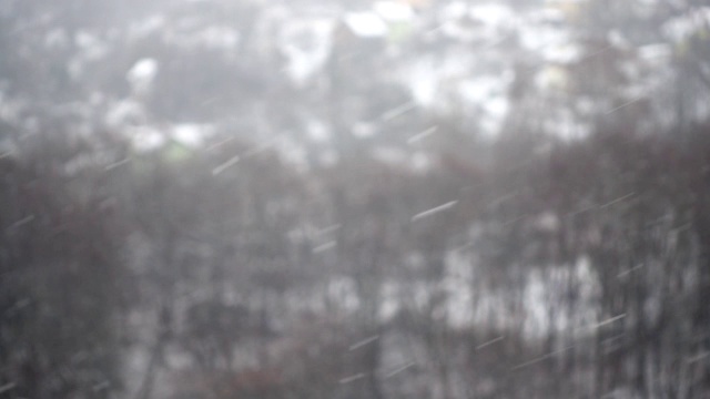 在冬天拍摄飘落的雪花。视频素材