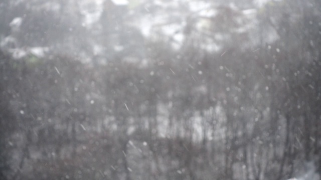 在冬天拍摄飘落的雪花。视频素材