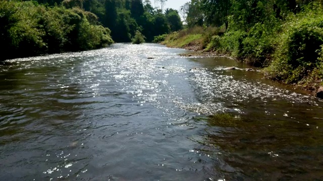自然河流倒影景观。森林和一条河在美丽的风景。视频素材