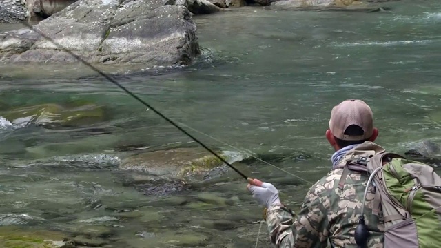 鳟鱼在山间的河里捕食视频素材