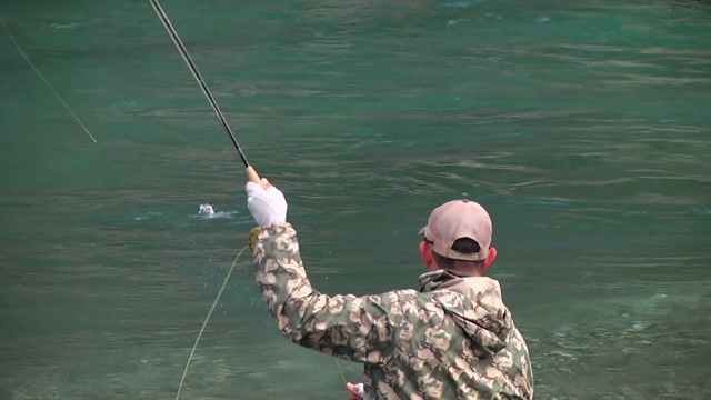 鳟鱼在山间的河里捕食视频素材