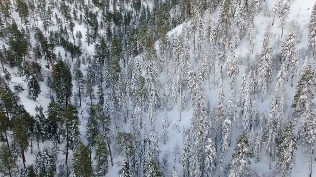 雪山鸟瞰图视频素材