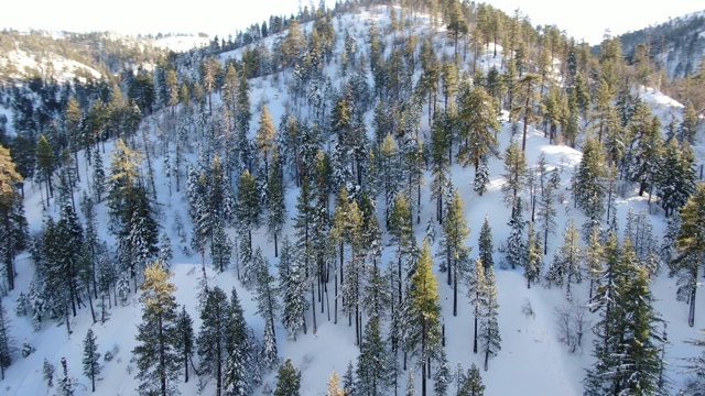 雪山鸟瞰图视频素材