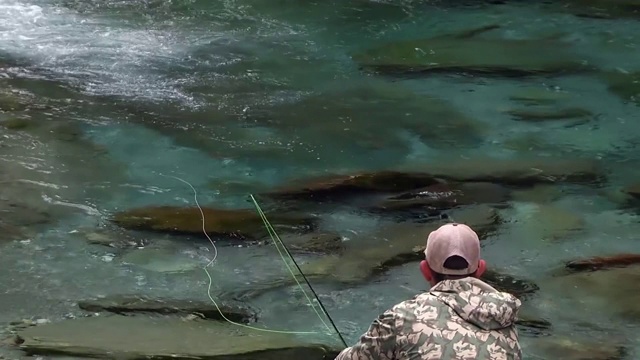 鳟鱼在山间的河里捕食视频素材