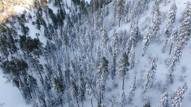 雪山鸟瞰图视频素材