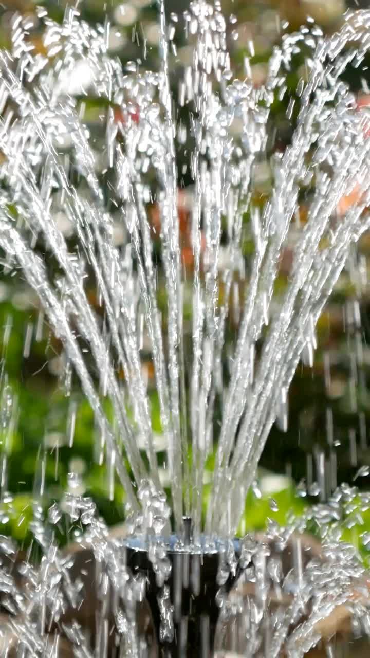 喷泉花园。垂直视频视频下载