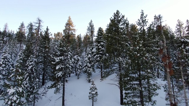 雪山鸟瞰图视频素材