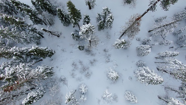 雪山鸟瞰图视频素材