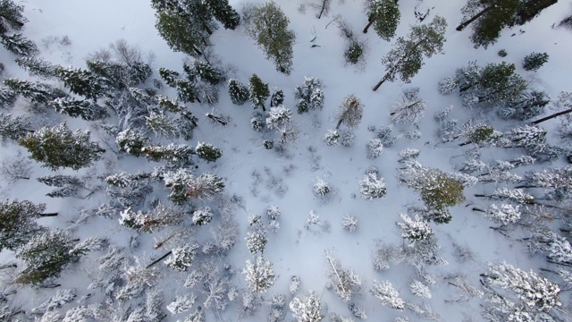 雪山鸟瞰图视频素材