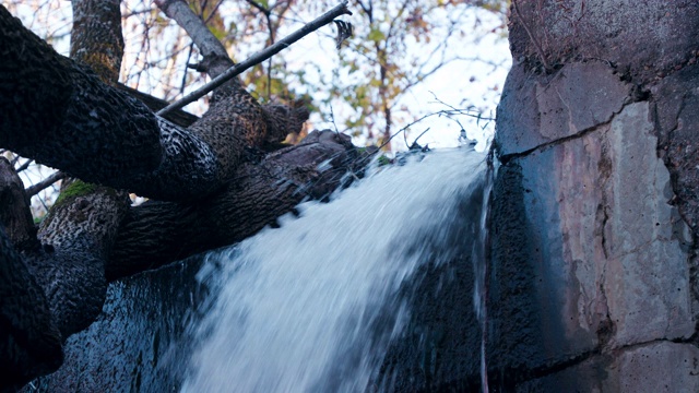 水从森林里的小水坝倾泻而下视频素材