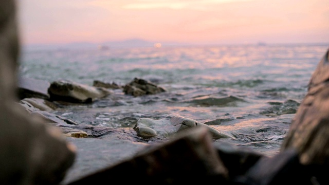 特写慢动作低角度小海浪翻滚在岩石海滩。海滨。傍晚的日落在卵石的海滩上视频素材