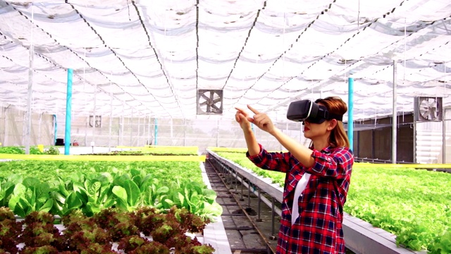 亚洲女农民使用VR眼镜探索水平农场种植的蔬菜。未来的蔬菜农场，没有转基因的新鲜清洁产品。视频素材