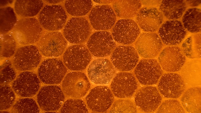 蜂蜜特写。琥珀色的蜂蜜在蜂巢里。透明的蜂蜜顺着蜂窝流下。视频素材