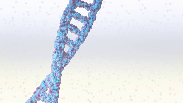 DNA分子是如何构建的数字插图视频下载