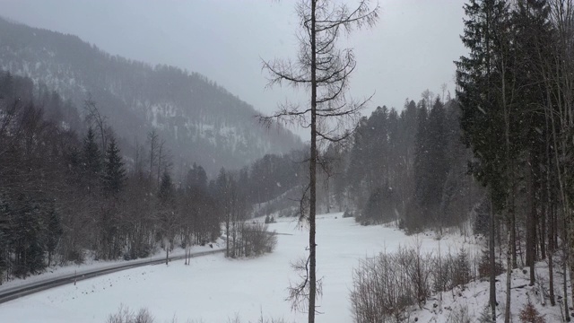 在大雪中，一辆汽车在高山冬季公路上转弯时，摄像机沿着一棵树升起视频素材