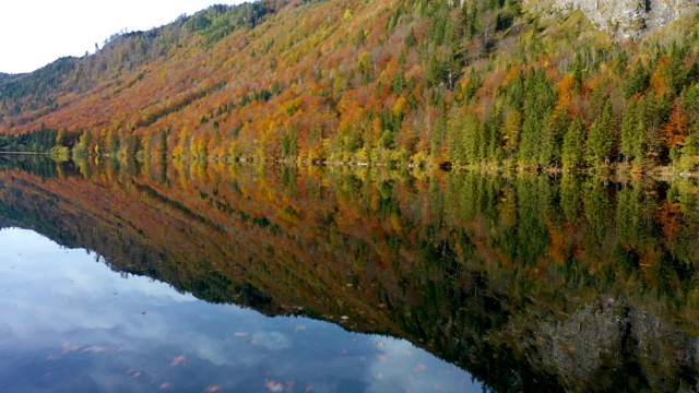 美丽的奥地利秋天Langbathsee湖与五颜六色的红色树木在岸边视频素材