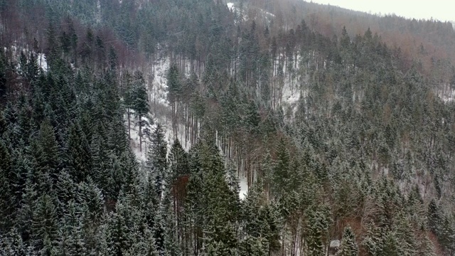 冬季降雪时，照相机在高山森林里被雪覆盖的树木上方飞行视频素材