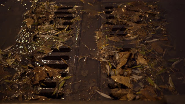 秋雨夜城街头，雨水顺着雨水沟流下视频素材