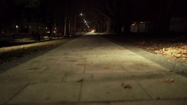 在秋天的夜晚，沿着河堤的空人行道被灯笼照亮视频素材