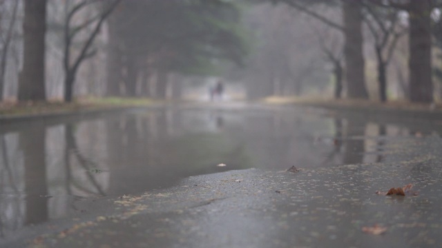 秋雨过后的小巷在秋天的人行道上泛起水坑。视频素材