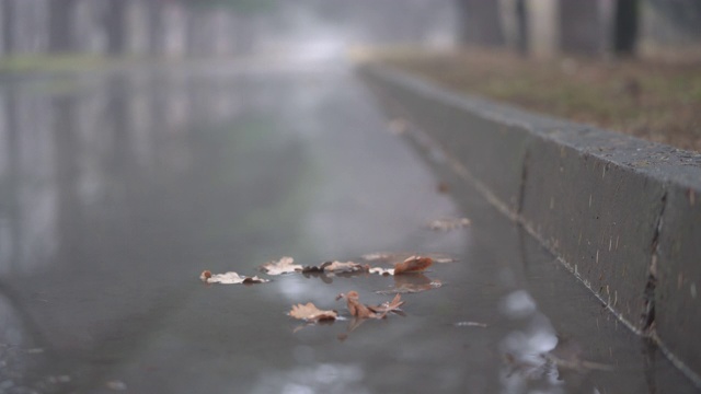 秋雨过后的小巷里，人行道上的水坑里，树叶在水中漂浮视频素材