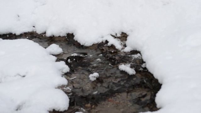 雪中的水流视频素材