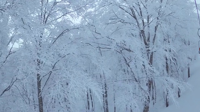 雾凇和滑雪缆车视频素材