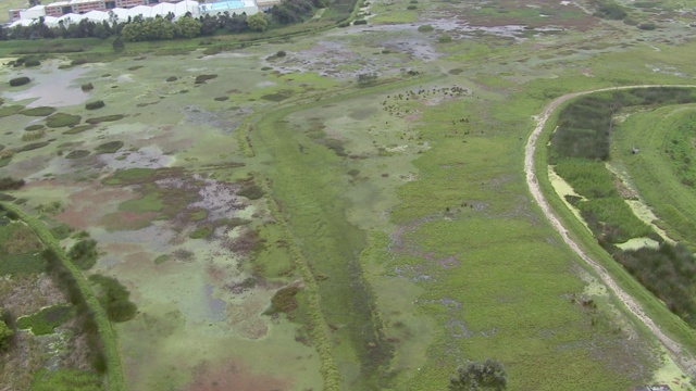 哥伦比亚波哥大的Meandro del Say湿地鸟瞰图视频素材