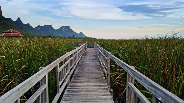 泰国Khao Sam Roi Yot国家公园的湖景和山景木桥。视频下载