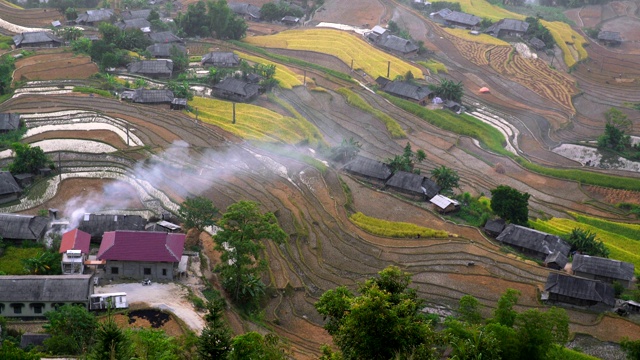 越南北部拉志丰地区山上梯田上的稻田。视频素材