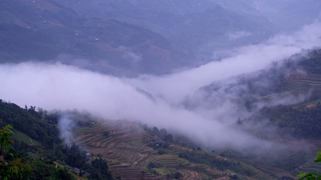 薄雾层层叠叠地流过山谷，暗无天日的景色引人注目视频下载