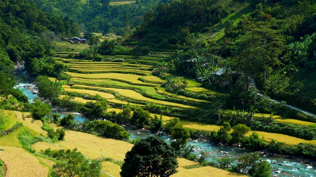 梯田在山上，美丽的形状在大自然。河流穿过稻田。越南曹邦公路风景的侧视图。视频下载