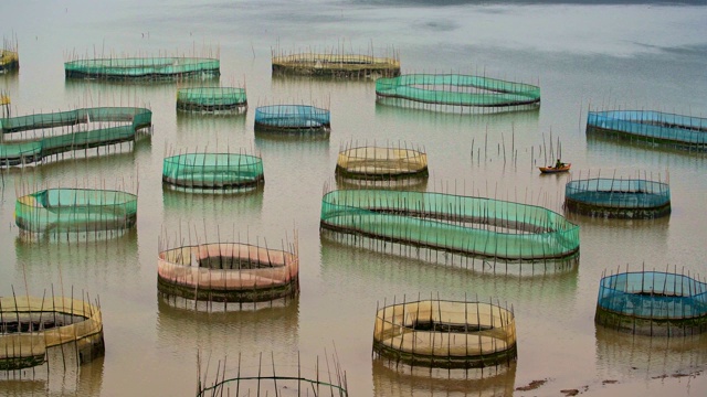 螃蟹养殖，渔民的船停泊在海岸附近的渔村。霞浦是中国重要的渔港，拥有重要的海产品养殖业。视频下载