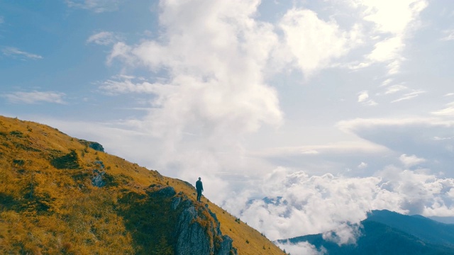 雄鸟站在山崖上，风景如画视频素材