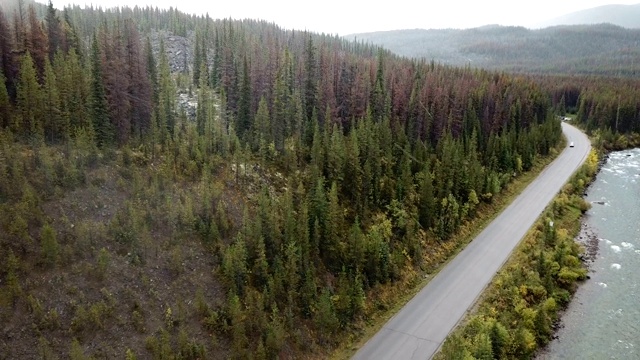 在湖泊与森林之间的狭窄土地上的道路视频素材