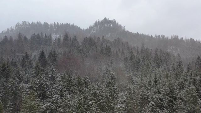 冬季降雪期间树木覆盖的高山山脊鸟瞰图视频素材