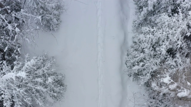 空中俯瞰拍摄的冬季云杉和松树林。被雪覆盖的树视频素材