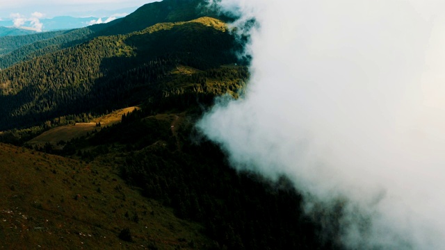 在美丽的云中飞行在高山森林之上视频素材