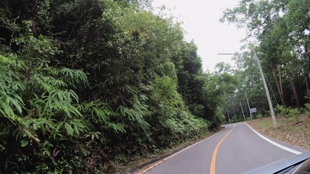 汽车在雨林环绕的道路上行驶视频素材