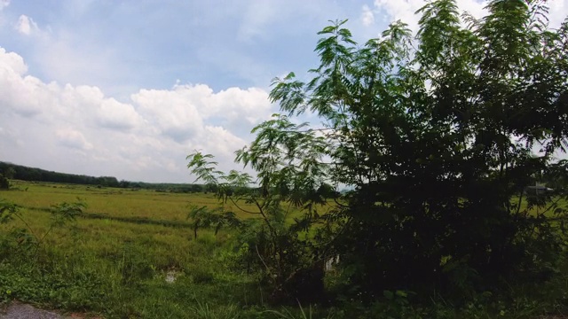 汽车行驶在有乡村景色的道路上视频素材